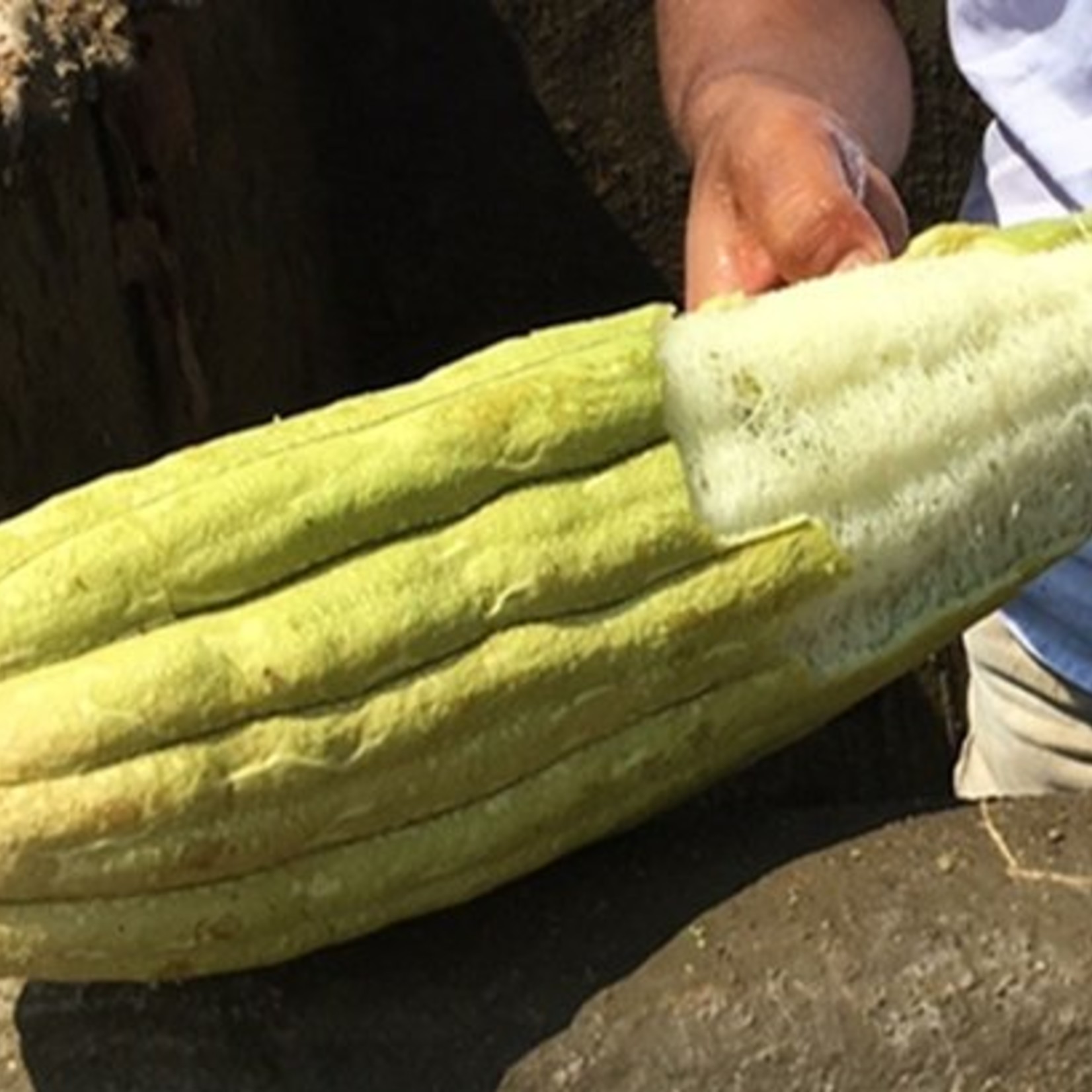 LoofCo Afwasspons