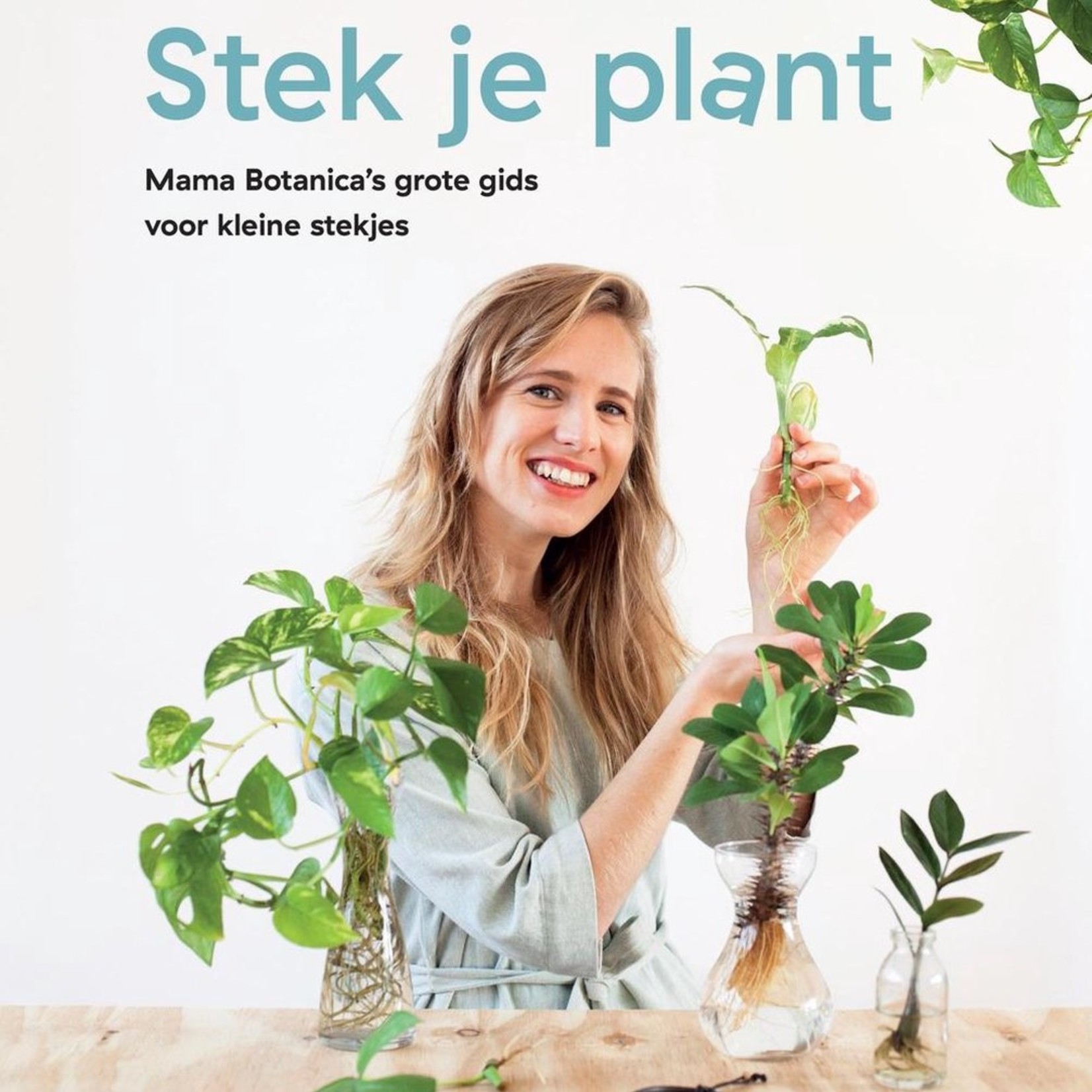 Stek je plant